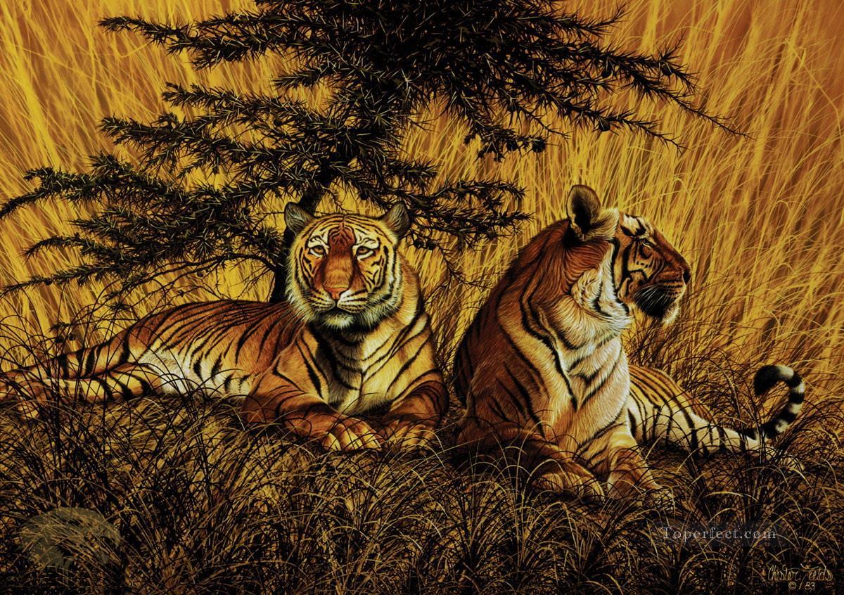 tigre 20 Peintures à l'huile